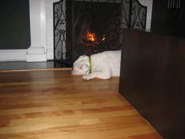 IMG_0047.JPG
