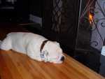 bentley_fireplace.jpg